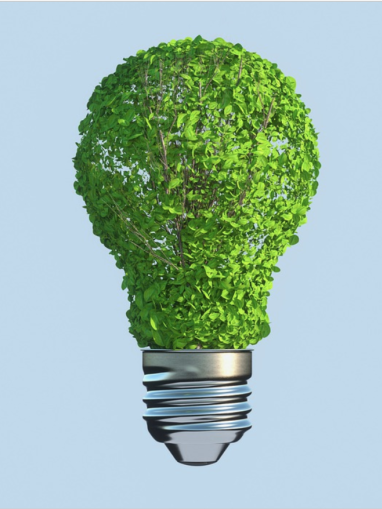 Sustainability